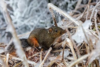 Electronic Arts 将于“2025 东京电玩展”展出《战地风云 6》